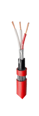 Fire Survival